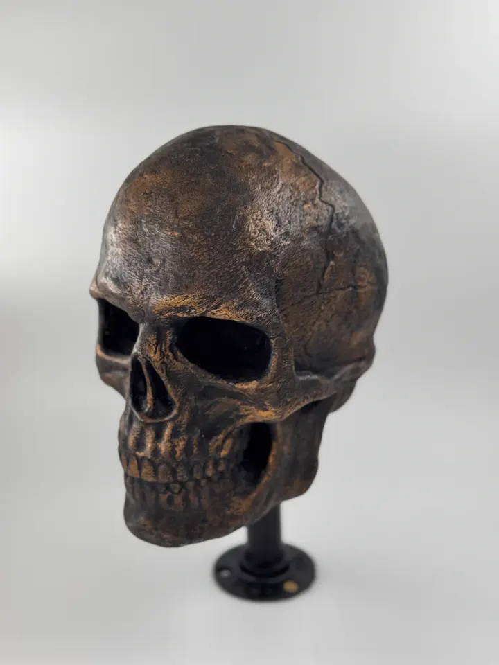 Crâne décoratif imprimé en 3D, finition bronze vieilli, monté sur un pied noir